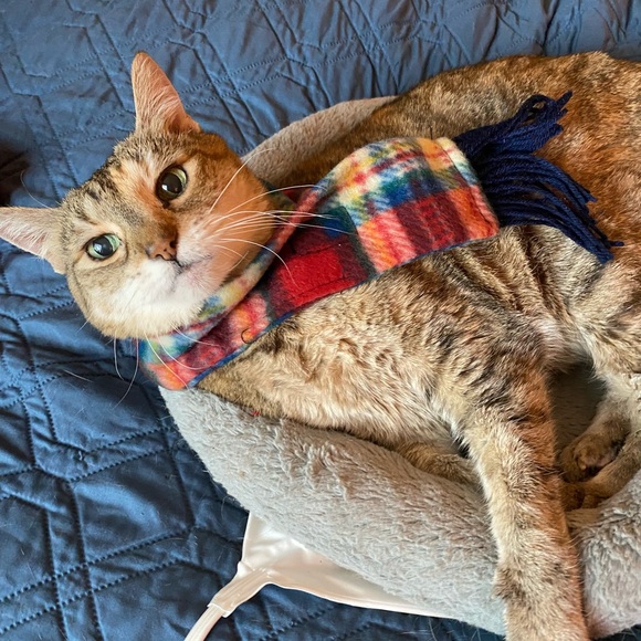 Meet your Posher, Debra - Picture 5 of 6